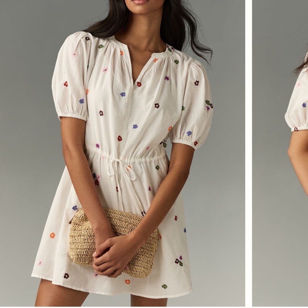 Anthro Velvet by Graham & Spencer Cleo
Embroidered Mini Dress